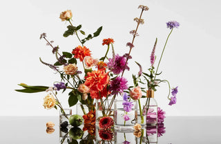 GLASSHOUSE FRAGRANCES - Boutique Bella Bella
