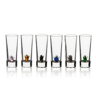 Tequila Decanter Set Premium Barware Gift Elegant Drinkware Collection