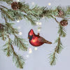 Cardinal Glass Ornament with Gold Glitter Accent