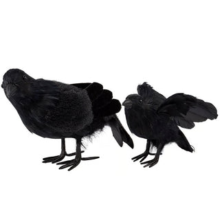 Black Crow Sitter