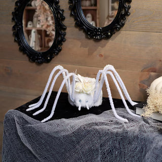 Mrs. Spider