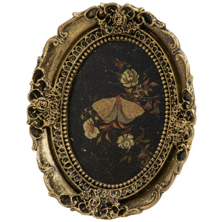 Moody Moth Framed Art