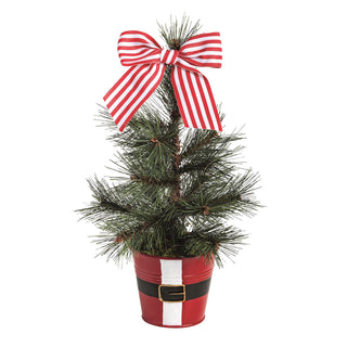 Small Santa Pot Frasier Fur Tree