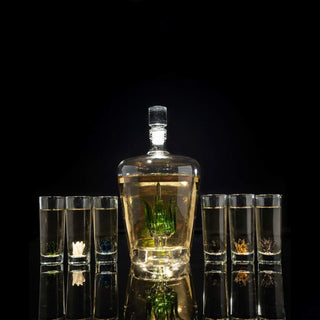 Tequila Decanter Set Premium Barware Gift Elegant Drinkware Collection
