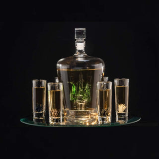 Tequila Decanter Set Premium Barware Gift Elegant Drinkware Collection