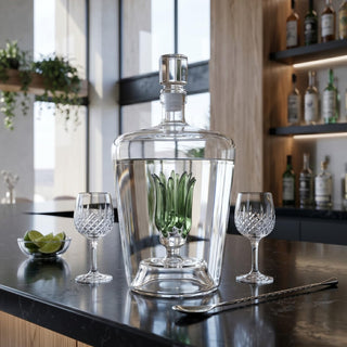 Tequila Decanter With Agave Plant Premium Barware Gift Elegant Drinkware Collection