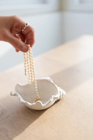 Shoreline Trinket Trays - Conch