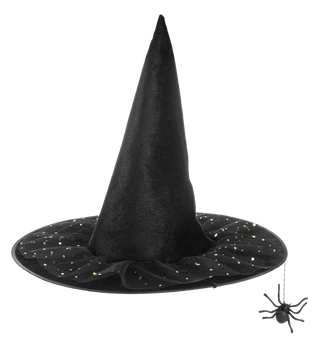 Spider  Witch Hat