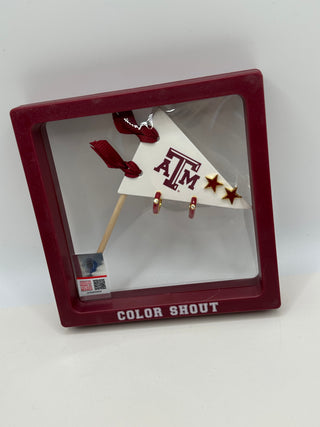 Texas A&M Pennant Pair Earring Set