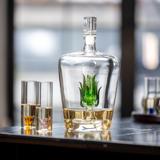 Tequila Decanter Tequila Glasses Set With Agave Decanter And 6 Agave Shot Glass With Stand Perfect F
