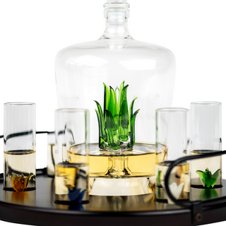 Tequila Decanter Tequila Glasses Set With Agave Decanter And 6 Agave Shot Glass With Stand Perfect F