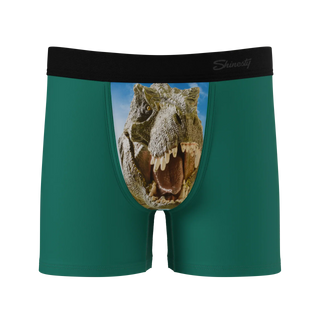 The Mad Lizard - Dinosaur Youth Boxer Briefs