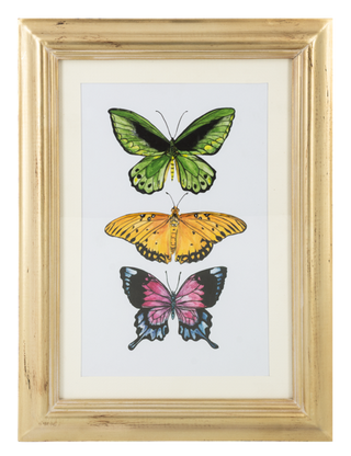 Printed Butterfly Wall Decor Ganz