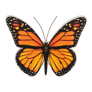 Printed Butterfly Figure Ganz - Assorted