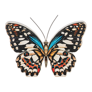 Printed Butterfly Figure Ganz - Assorted