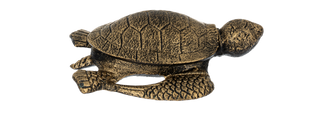 Painted Turtle Hide-a-key Assorted Ganz