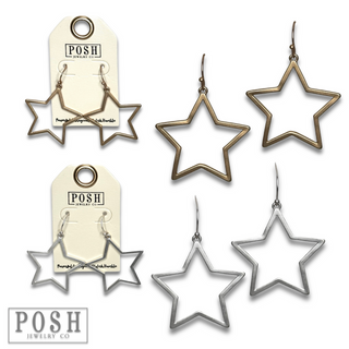 Matte finish open star earring - LC