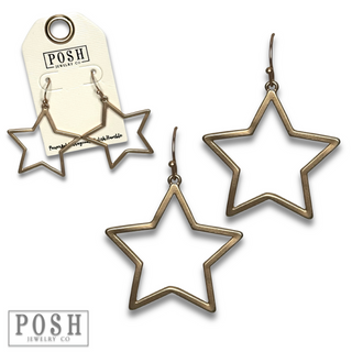 Matte finish open star earring - LC