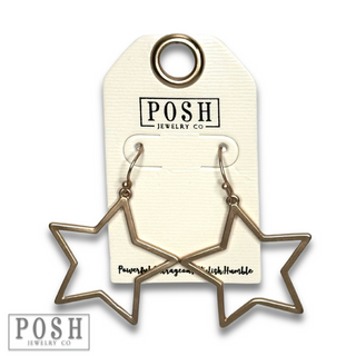 Matte finish open star earring - LC