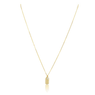 Mini Dog Tag Necklace