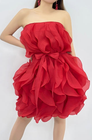 Firecracker Ruffle Mini Dress