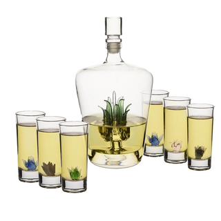 Tequila Decanter Set Premium Barware Gift Elegant Drinkware Collection