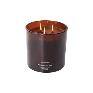 Aromatique Cinnamon Cider - Statement Foundry Candle - 48 oz - Boutique Bella BellaCandle