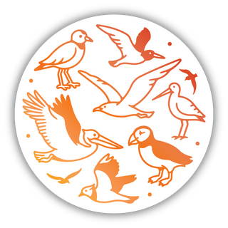 Beach Vinyl Stickers II - Boutique Bella BellaVinyl Sticker