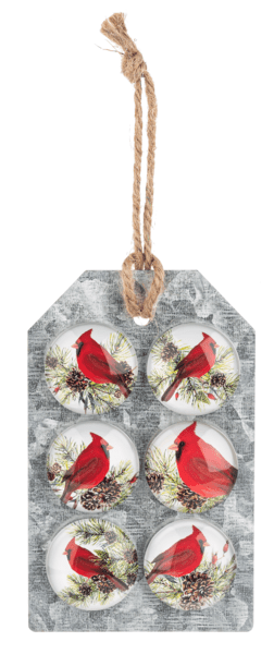 Cardinal Pine Spring Magnet 6-piece Set, Glass Ganz - Boutique Bella BellaChristmas Decor