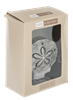Sand Dollar Night Light