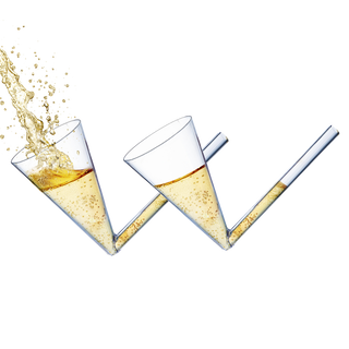 Acrylic Champagne Shooter By Glass Wine Champagne Shooters Gifts Party Games For Gue