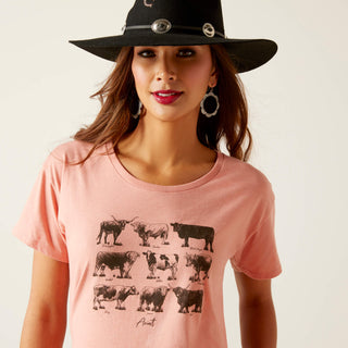 Cow Chart Pal Pink Tee - Boutique Bella BellaT-Shirt