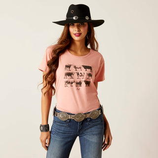 Cow Chart Pal Pink Tee - Boutique Bella BellaT-Shirt