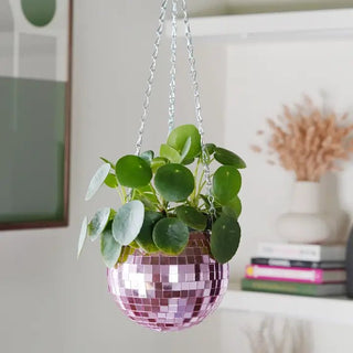 Disco Ball Hanging Planter 6in - Boutique Bella Bellaplanter