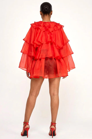 Dressed to Ruffle Sheer Top - Bright Red - Boutique Bella BellaBlouse