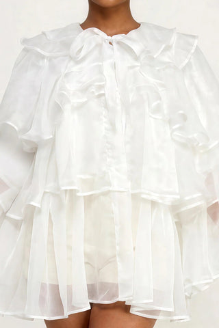 Dressed to Ruffle Sheer Top - White - Boutique Bella BellaBlouse