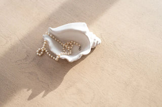 Shoreline Trinket Trays - Conch
