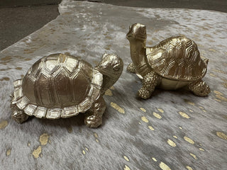 Gold Resin Turtle - Boutique Bella Belladecorative turtle