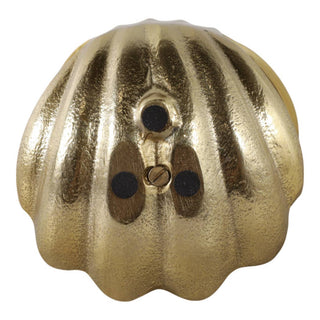 Golden Coastal Treasure Accent – 5 in. - Boutique Bella BellaShell Figurine
