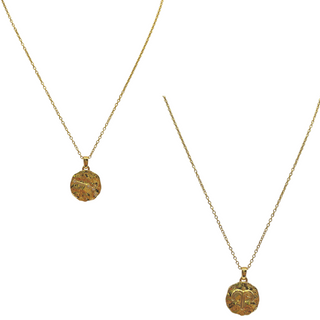 Zodiac Constellation Coin