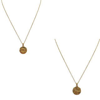 Zodiac Constellation Coin