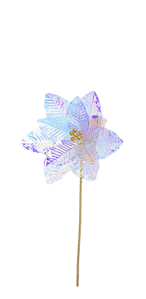 Iridescent Poinsettia Spray - Boutique Bella Bellafloral picks