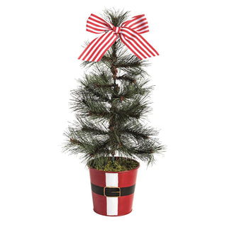 Large Santa Pot Frasier Fur Tree - Boutique Bella BellaChristmas Tree