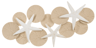 Layered Starfish and Sand Dollar Wall Decor - Boutique Bella BellaWall decor