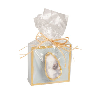 Light Blue Oyster Shell Plaque - Boutique Bella BellaPlaques