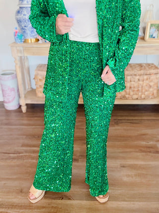 Mardi Gras Olympia Velvet Sequin Pants in Green - Boutique Bella BellaSequin pants