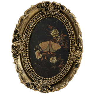 Moody Moth Framed Art - Boutique Bella BellaPicture