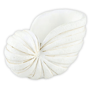Nautilus Decor - Boutique Bella BellaShell Figurine