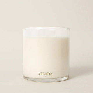 No. 5 Cicada Candle - 9 oz - Boutique Bella BellaCandle