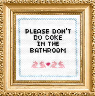 Please Don't Do Coke In The Bathroom - Boutique Bella BellaCross Stitch Kit